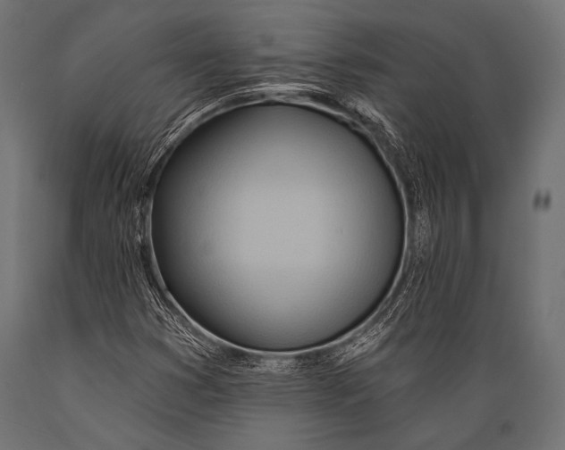 X0000088871353200706291531
