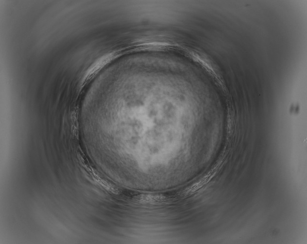 X0000088871354200706291531