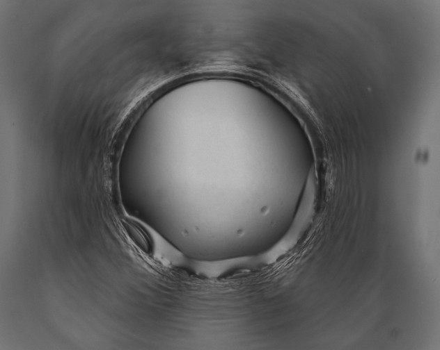 X0000088871356200706291531