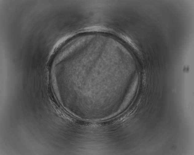 X0000088871358200706291531