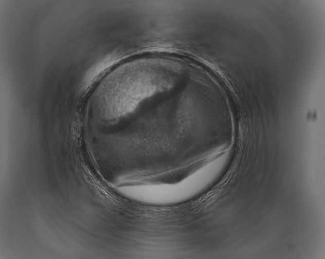X0000088871359200706291531
