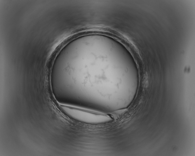 X0000088871360200706291530