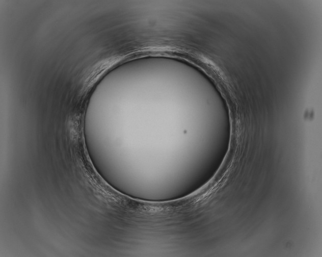 X0000088871361200706291530