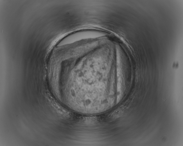 X0000088871363200706291530