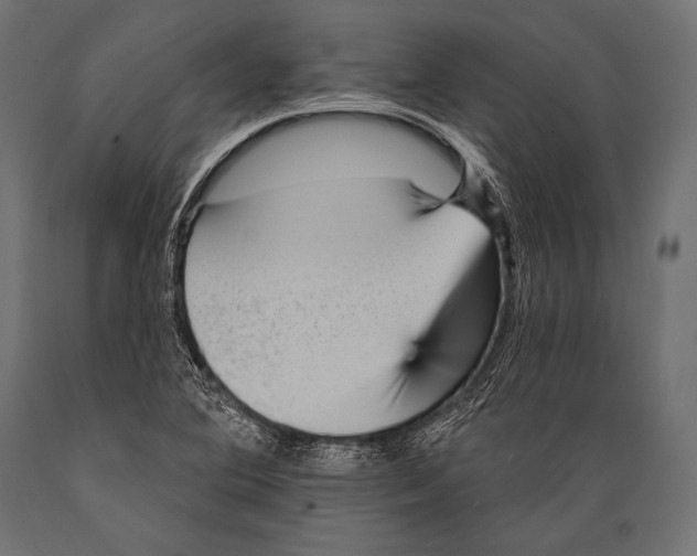 X0000088871364200706291530