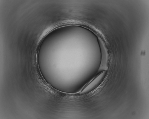 X0000088871365200706291530