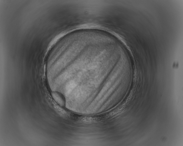 X0000088871366200706291530