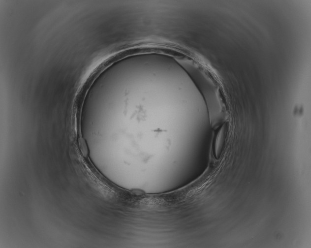 X0000088871368200706291530