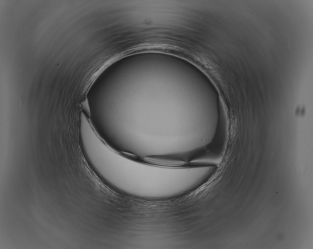 X0000088871369200706291530