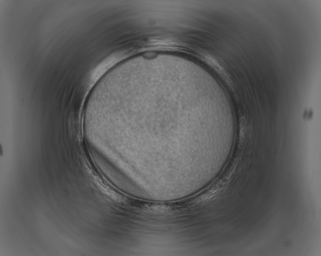 X0000088871370200706291530