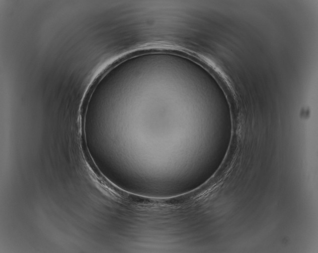 X0000088871372200706291530