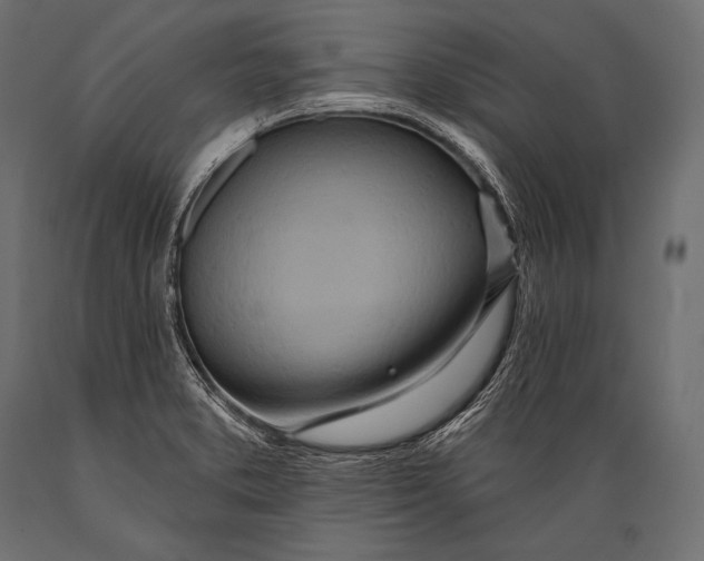 X0000088871373200706291530