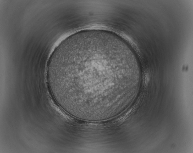 X0000088871374200706291530