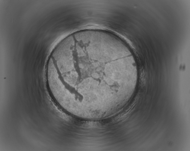 X0000088871375200706291530