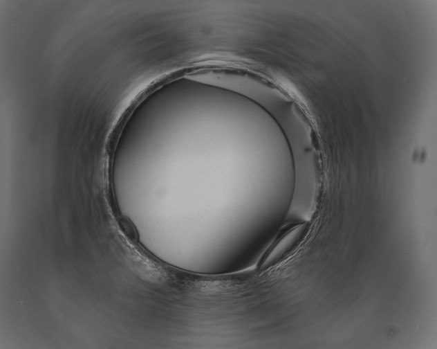 X0000088871376200706291530