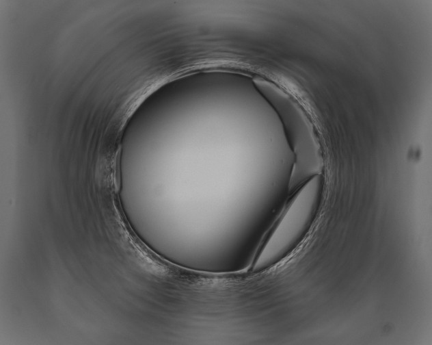 X0000088871377200706291530