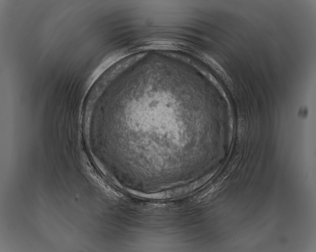 X0000088871378200706291530