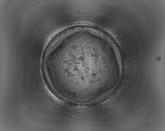 X0000088871379200706291530