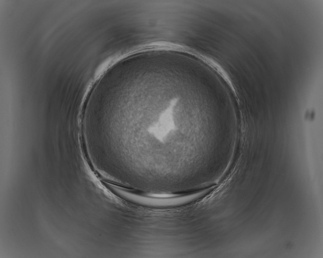 X0000088871381200706291530