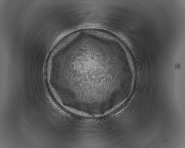 X0000088871382200706291530