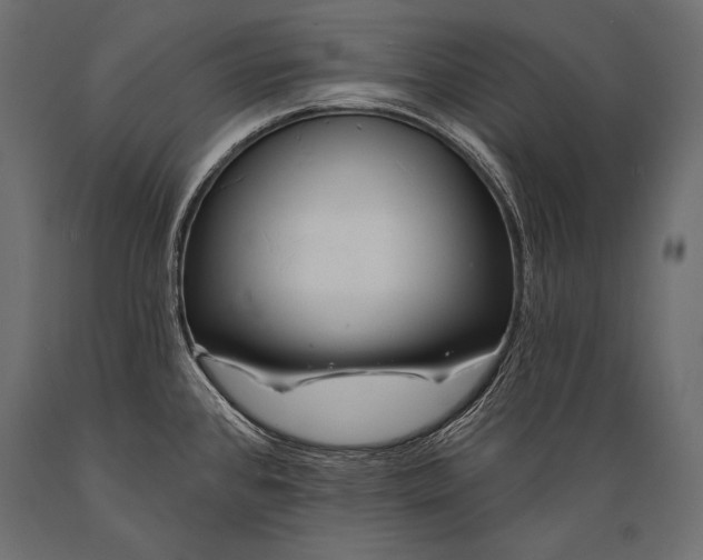 X0000088871384200706291530