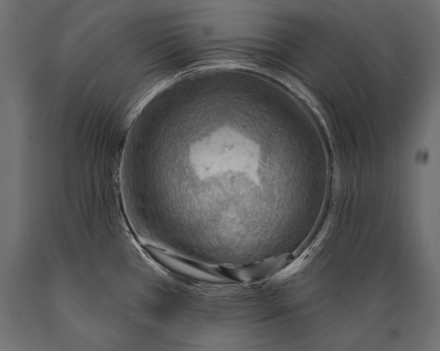 X0000088871385200706291530
