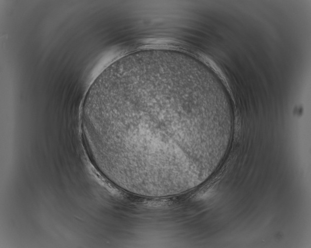 X0000088871386200706291530