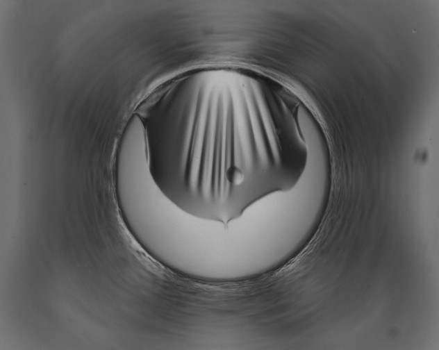 X0000088871388200706291530
