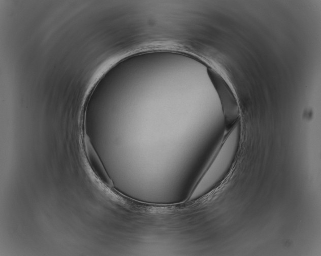 X0000088871389200706291530