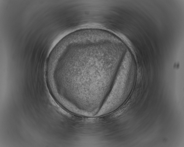 X0000088871390200706291530