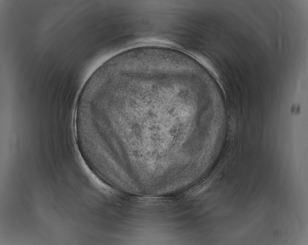 X0000088871391200706291530