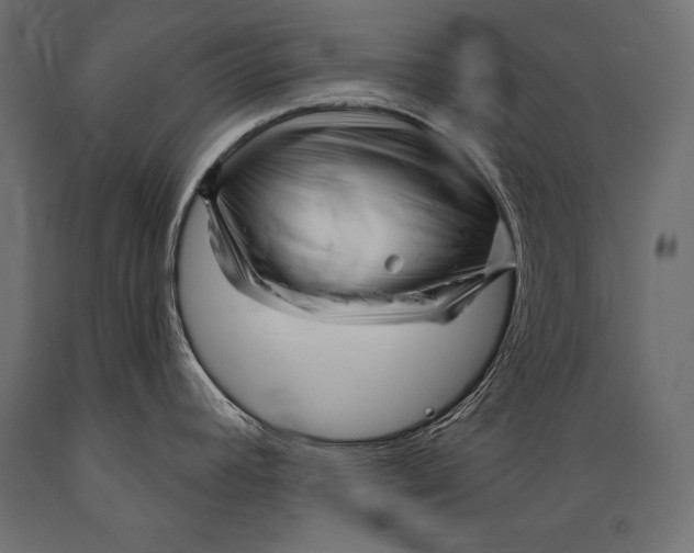 X0000088871392200706291530