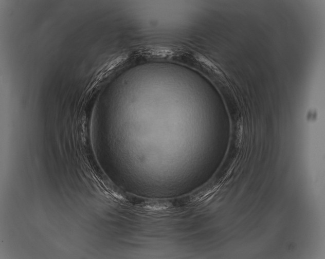 X0000088871394200706291529