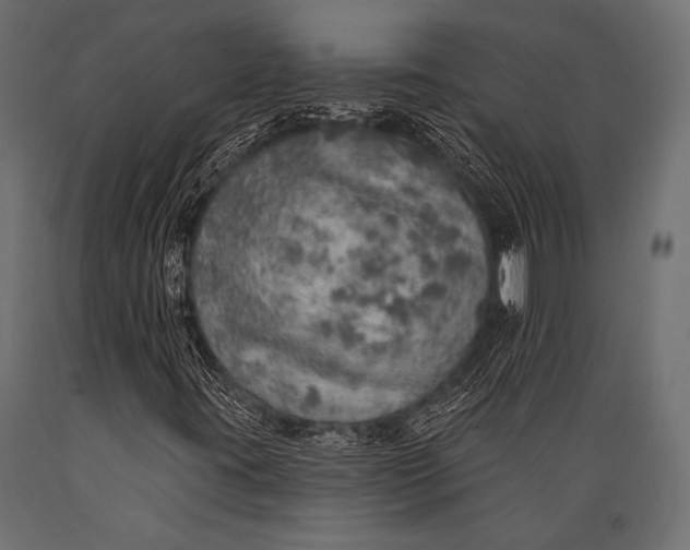 X0000088871395200706291529