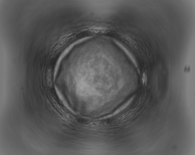 X0000088871396200706291529