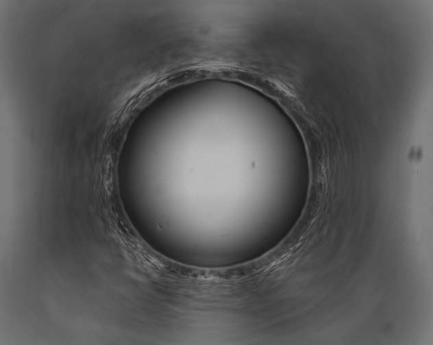 X0000088871398200706291529