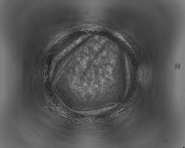 X0000088871399200706291529
