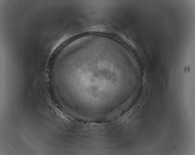 X0000088871400200706291529