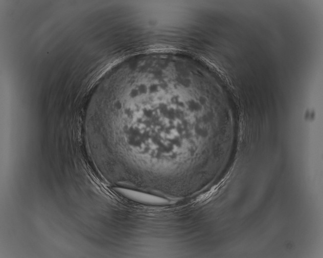 X0000088871401200706291529