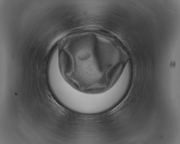 X0000088871402200706291529