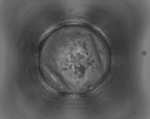 X0000088871403200706291530