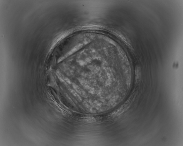 X0000088871405200706291530