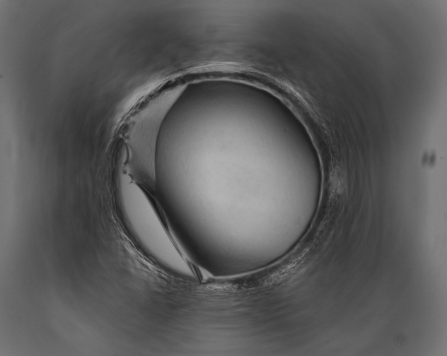 X0000088871406200706291530