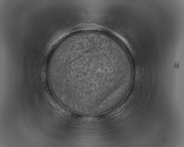 X0000088871407200706291530
