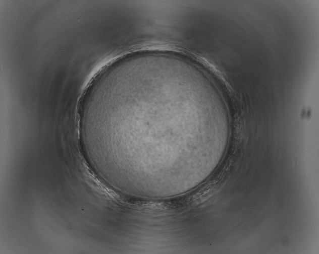 X0000088871408200706291530