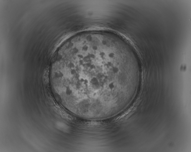 X0000088871409200706291530
