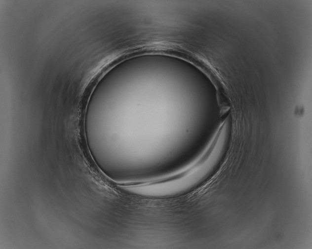 X0000088871410200706291530