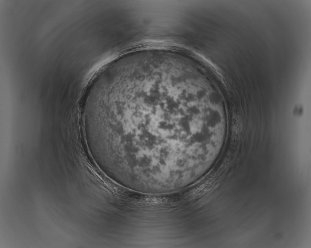 X0000088871411200706291530
