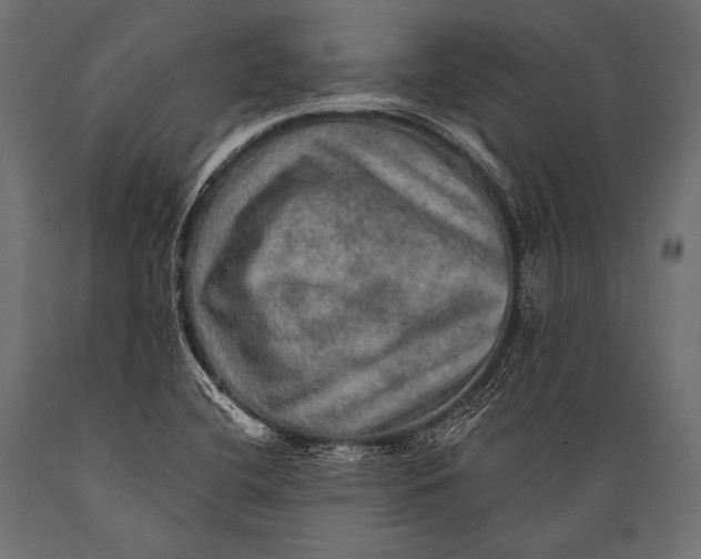 X0000088871412200706291530
