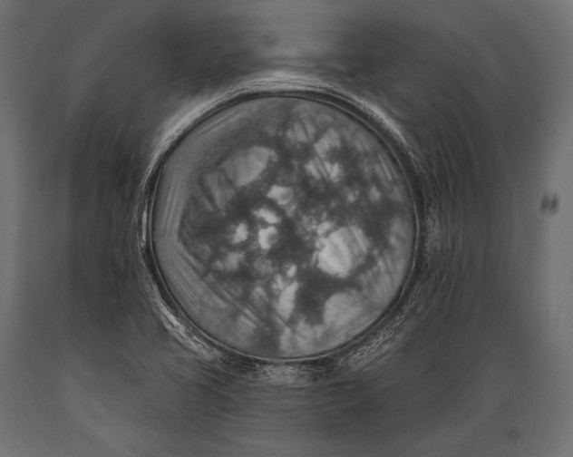 X0000088871413200706291530